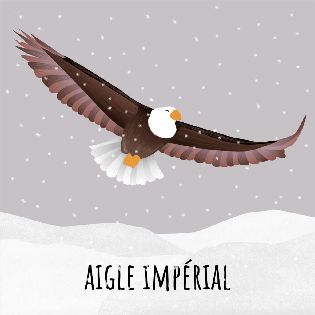 Aigle impérial