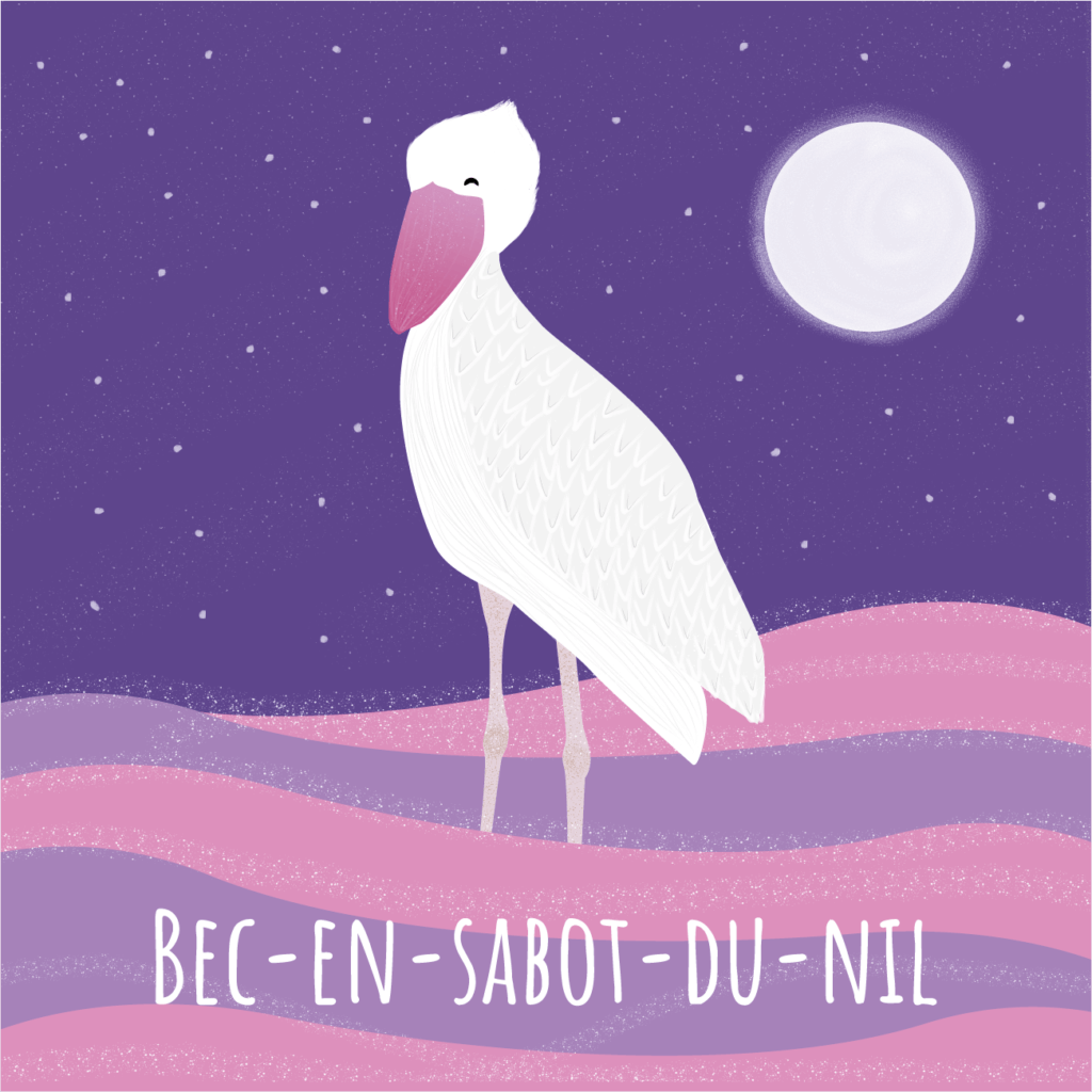 Bec en sabot du Nil