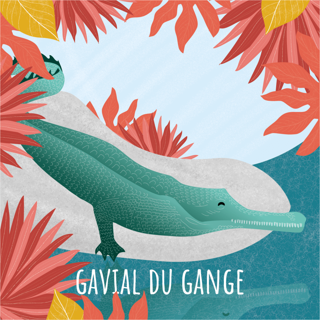 Gravial du gange