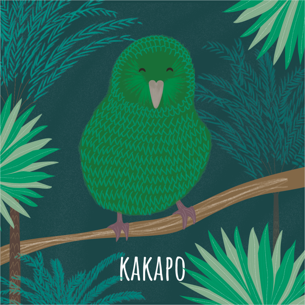 Kakapo