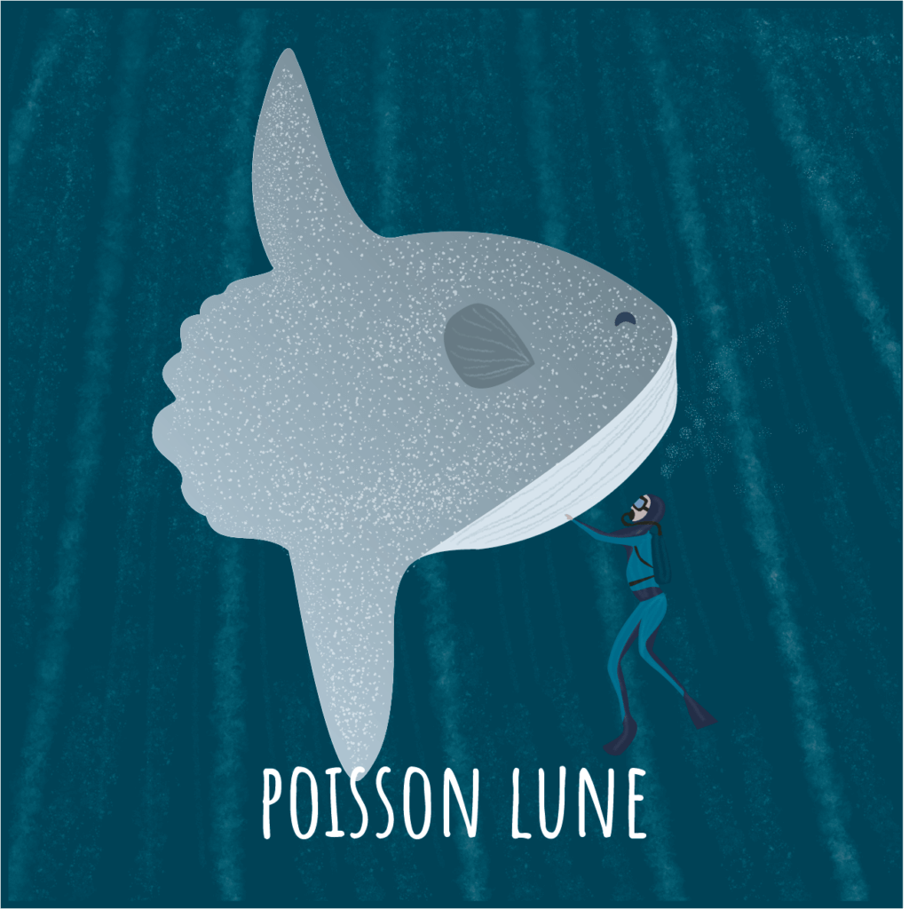 Poisson lune