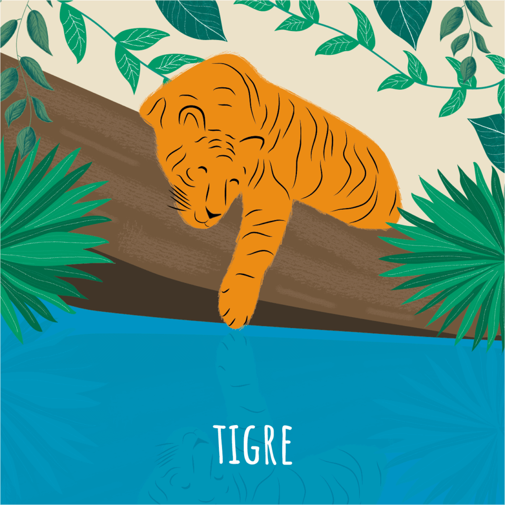 Tigre