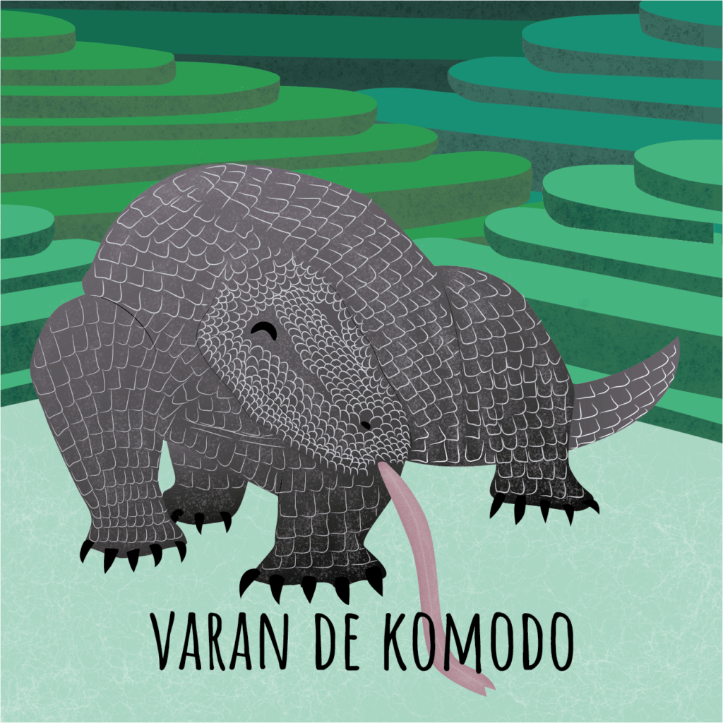 Varan de Komodo